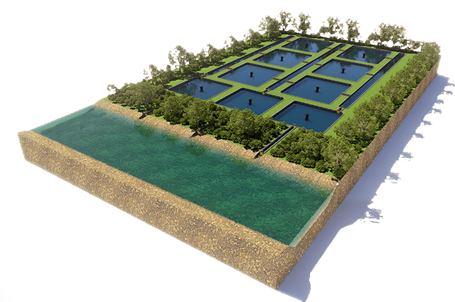 Silvofishery VENAMBAK